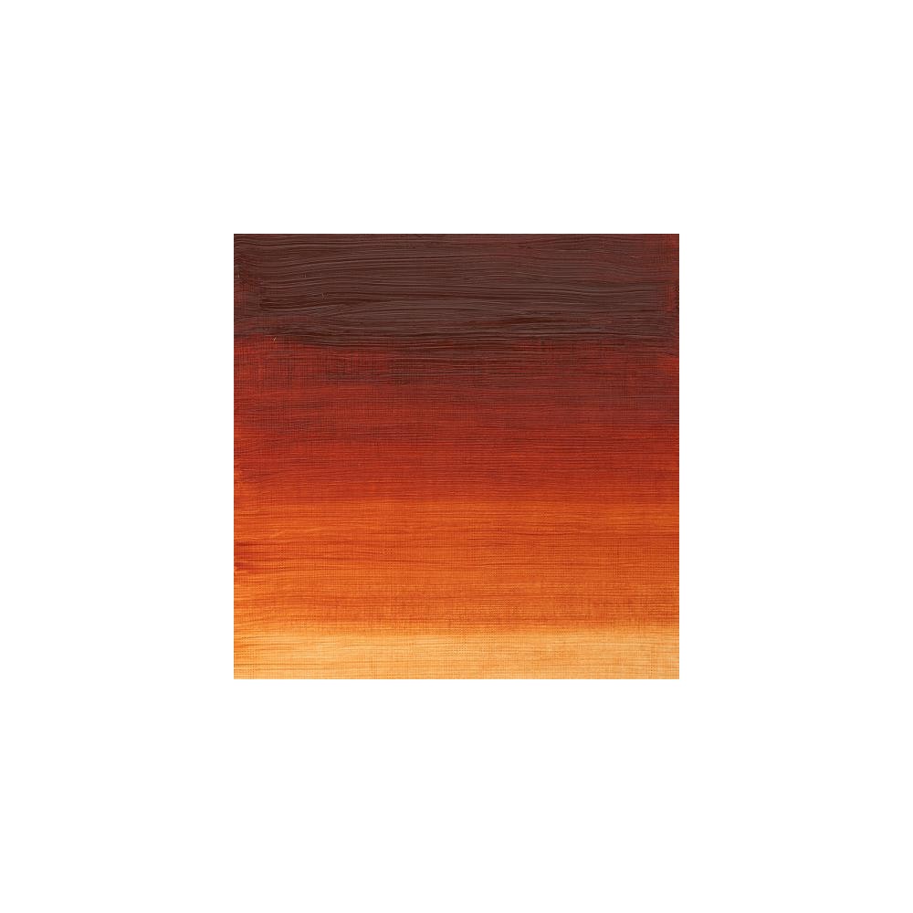 Oil paint Winton Oil Colour - Winsor & Newton - burnt sienna, 200 ml