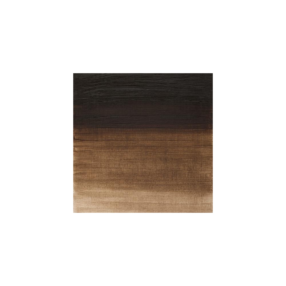 Oil paint Winton Oil Colour - Winsor & Newton - raw umber, 200 ml