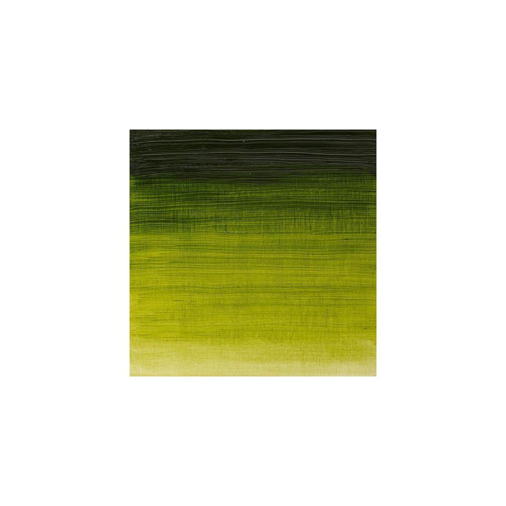 Farba olejna Winton Oil Colour - Winsor & Newton - sap green, 200 ml