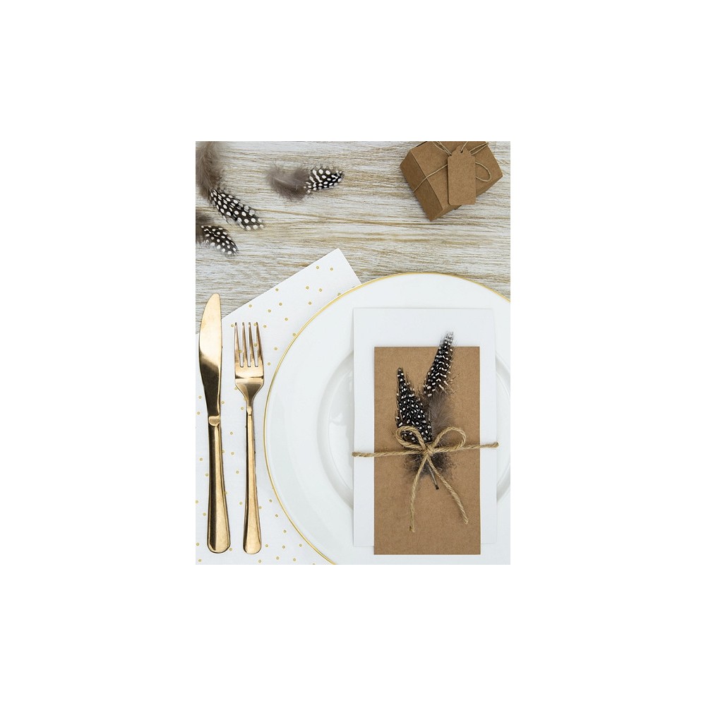 Decorative feathers - brown, 50 pcs.