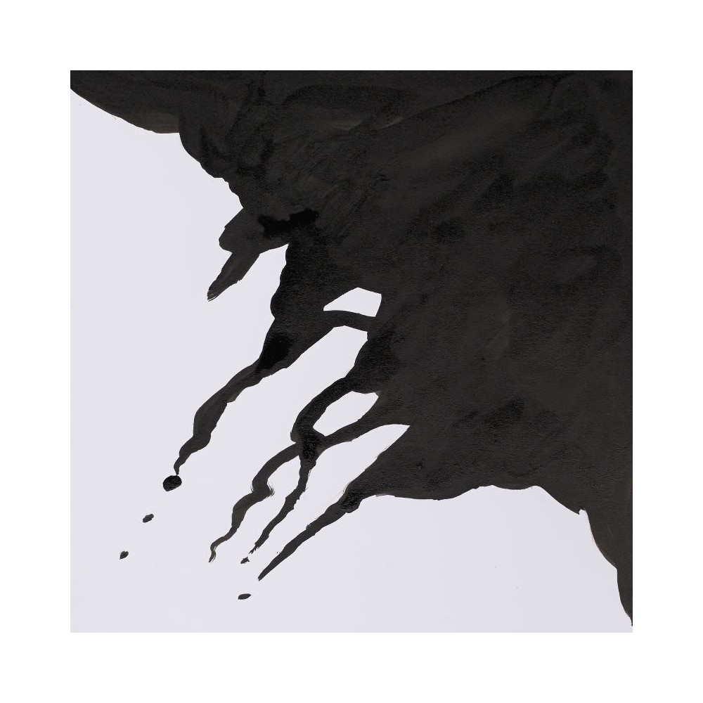 Drawing inks Winsor & Newton - Liquid Indian Ink 30 ml