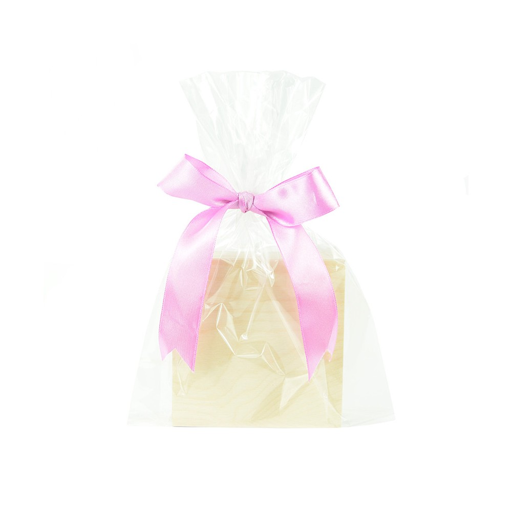 Foil plastic bags - 20 x 30 cm, 100 pcs.