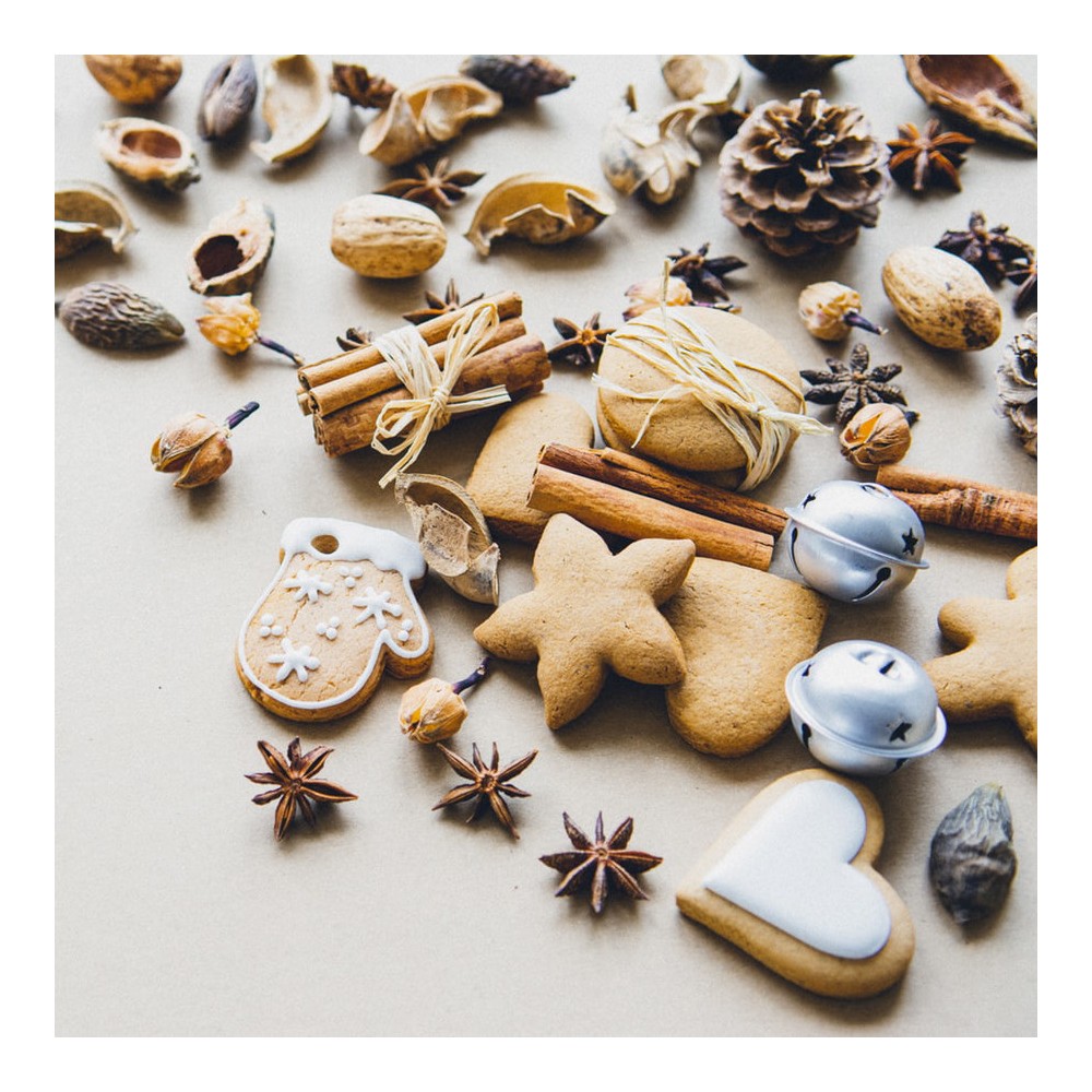 Dried anise - 100 g
