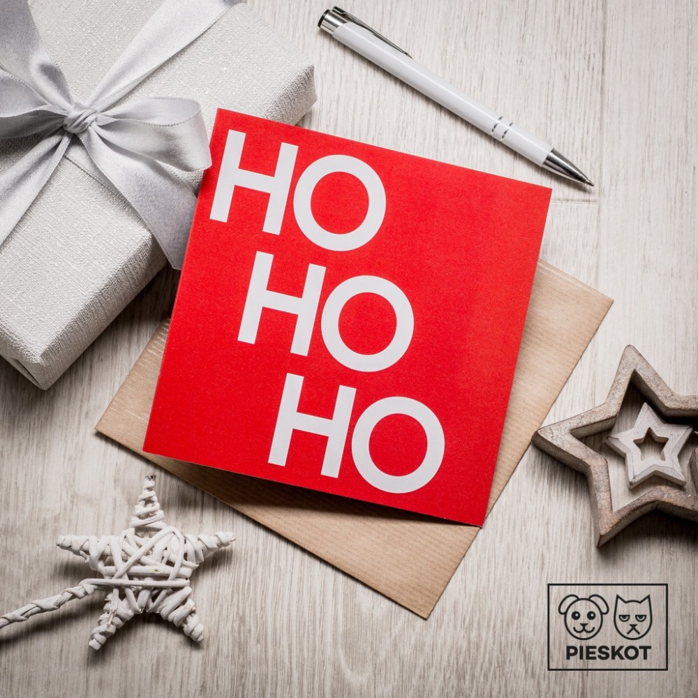 Kartka okolicznościowa - PiesKot - Ho Ho Ho, 14,5 x 14,5 cm