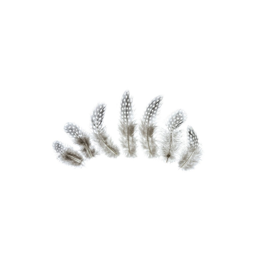 Decorative feathers - brown, 50 pcs.