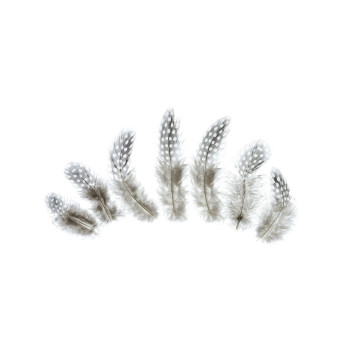 Decorative feathers - brown, 50 pcs.