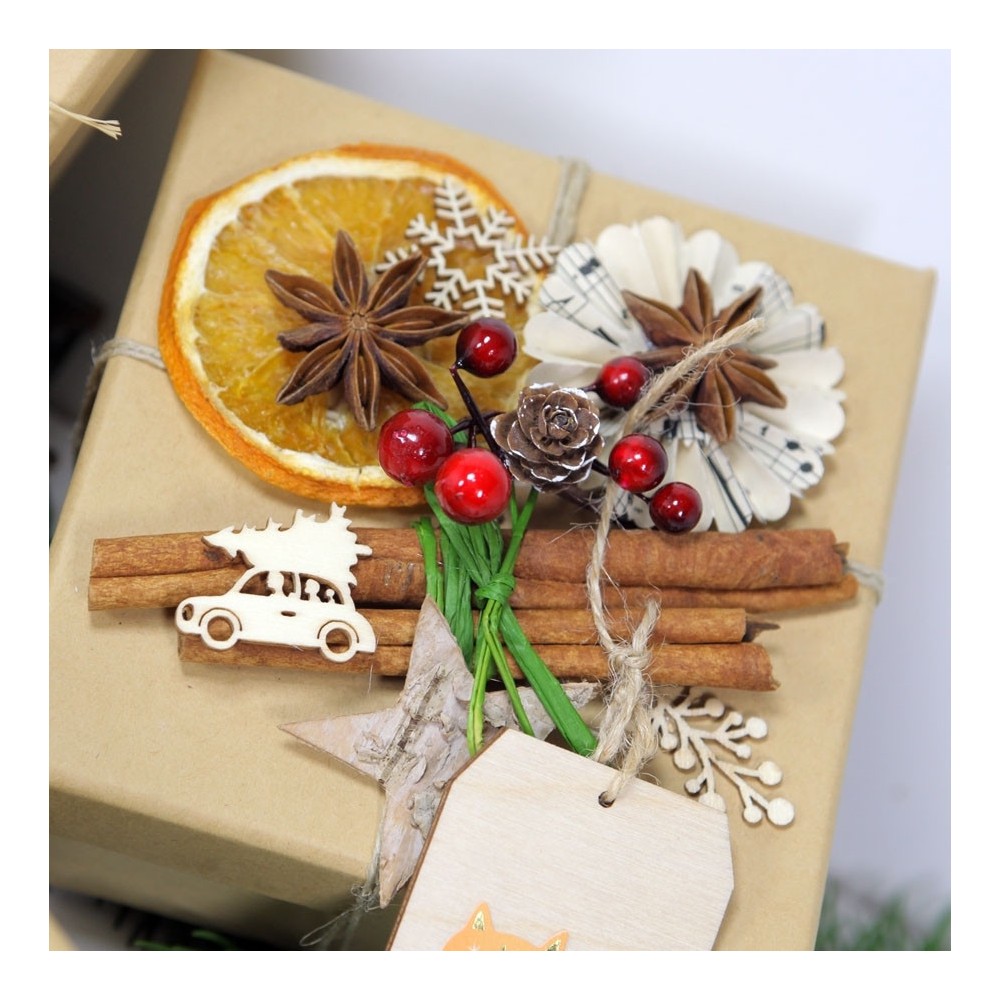Anyż gwiaździsty, dekoracyjny - suszony, 100 g