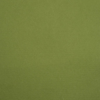 Wool felt A4 - avocado green, 1 mm