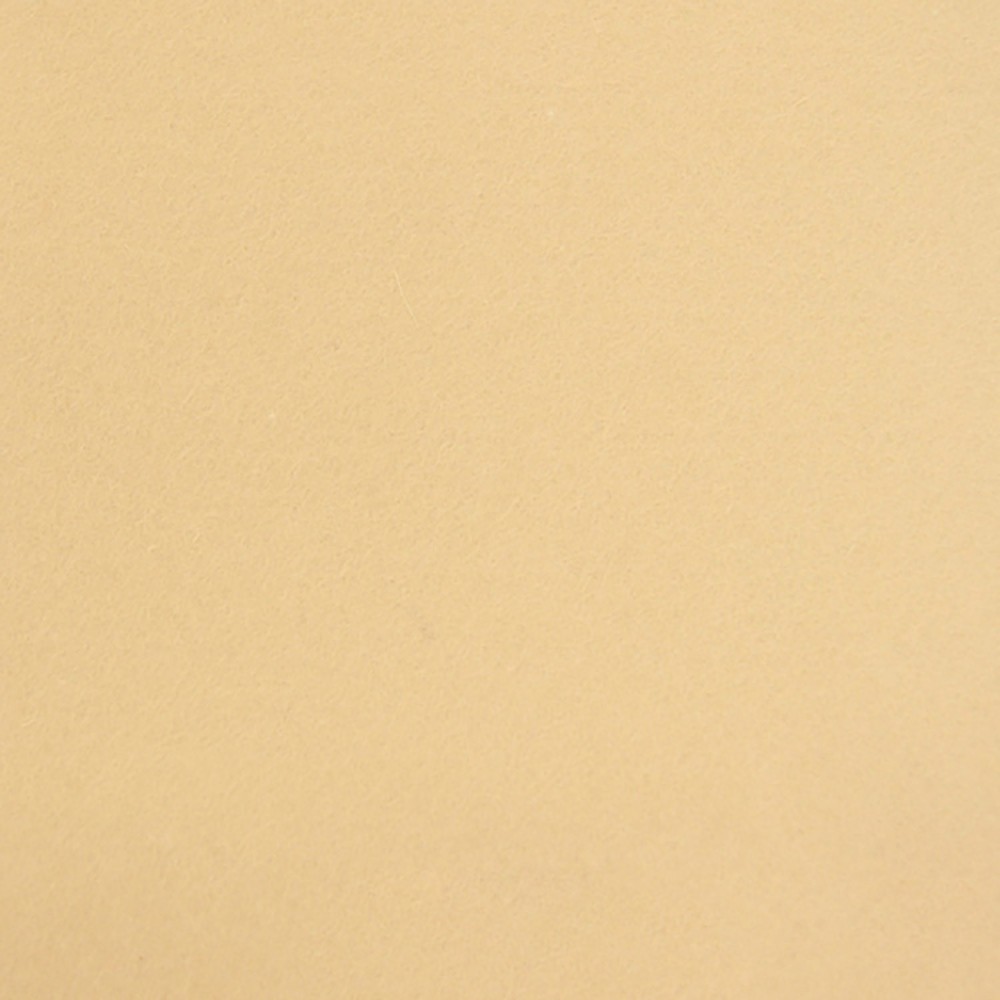 Wool felt A4 - light camel, 1 mm