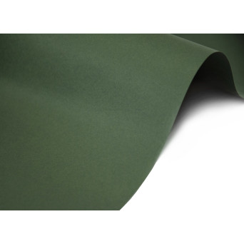 Keaykolour paper 120g - Sequoia dusty dark green A4