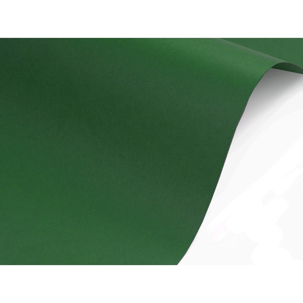 Sirio Color Paper 210g - Foglia dark green A4