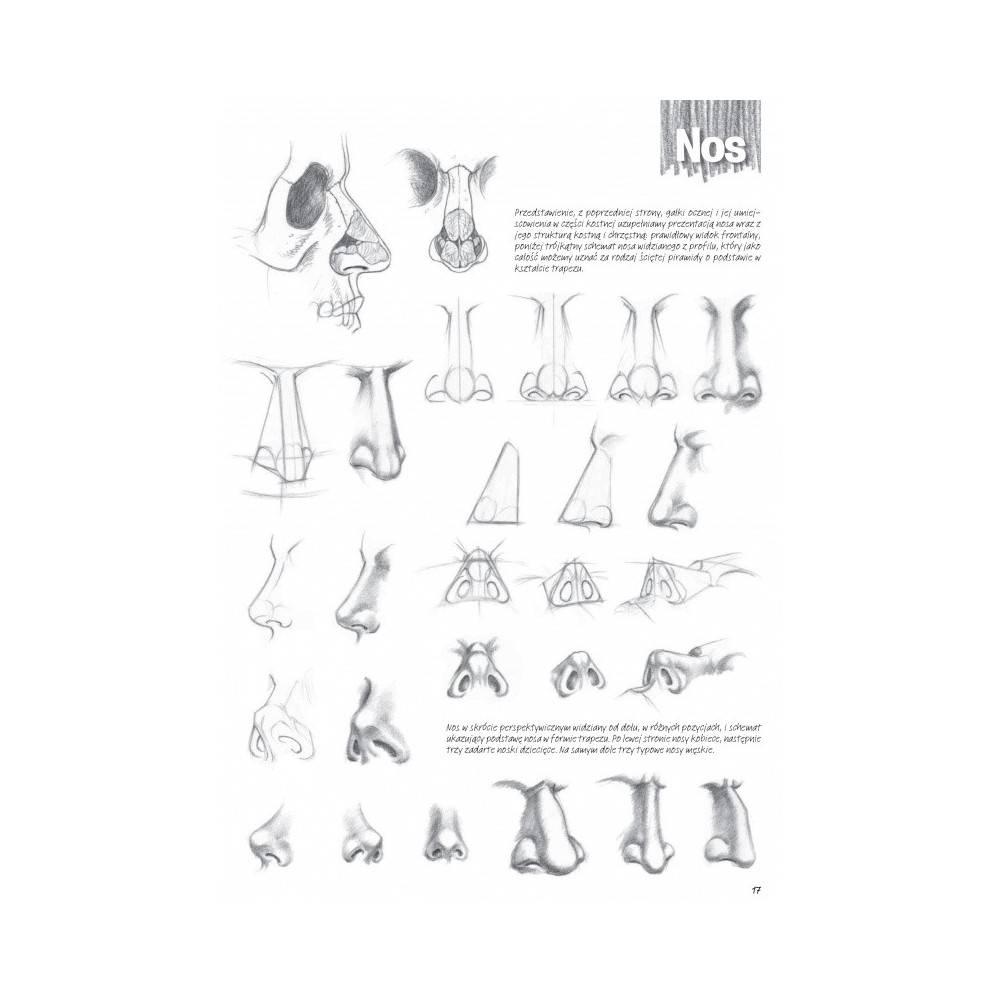 Leonardo compact series - Koh-I-Noor - 03