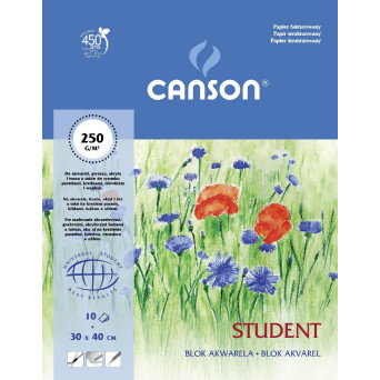 Watercolor drawing pad 30 x 40 cm - Canson - 250 g, 10 sheets