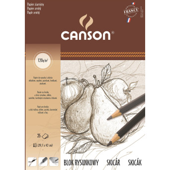 Blok rysunkowy A3 - Canson - 120 g, 25 ark.