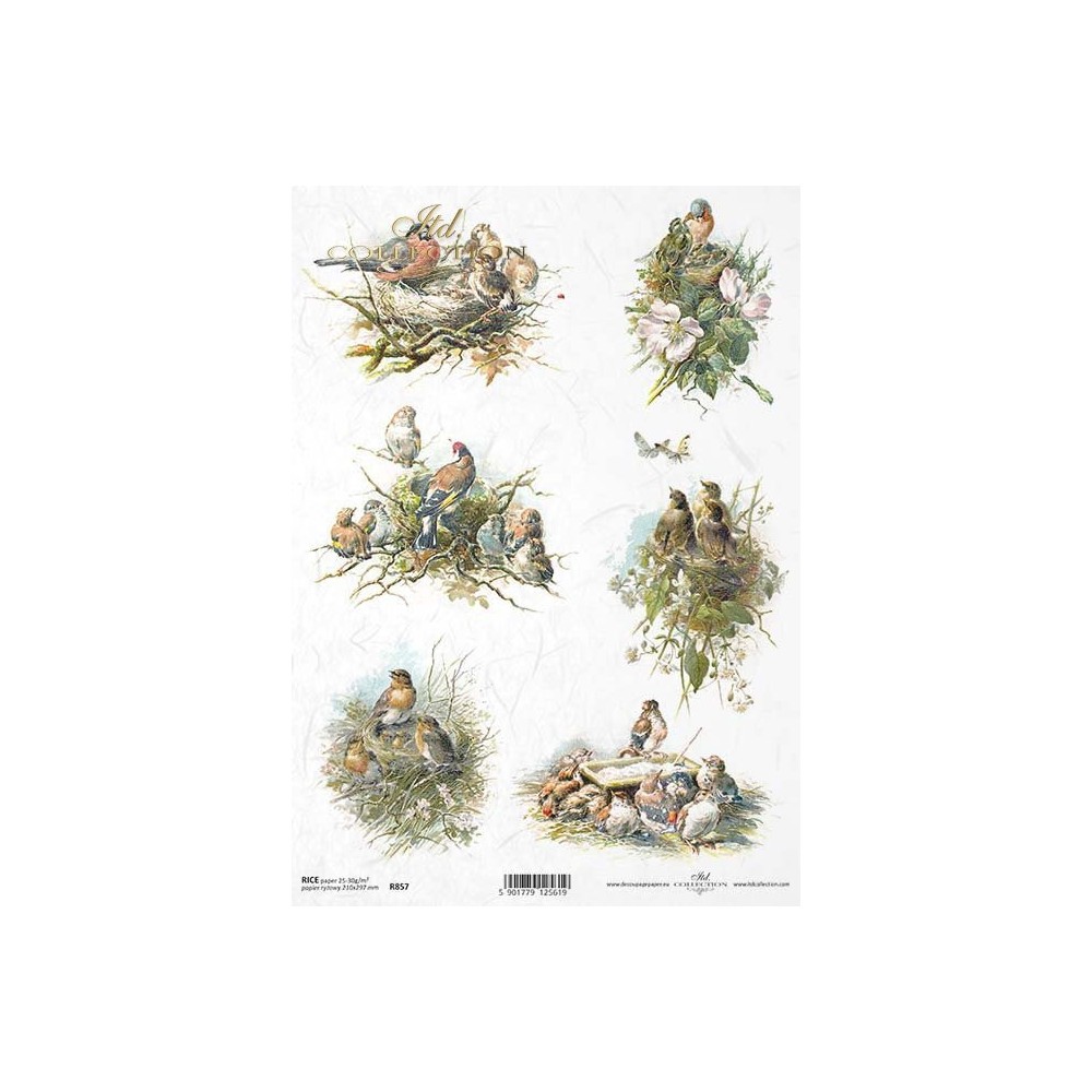 Decoupage paper A4 - ITD Collection - rice, R857