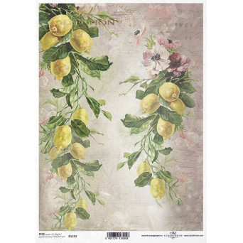 Decoupage paper A4 - ITD Collection - rice, R1193