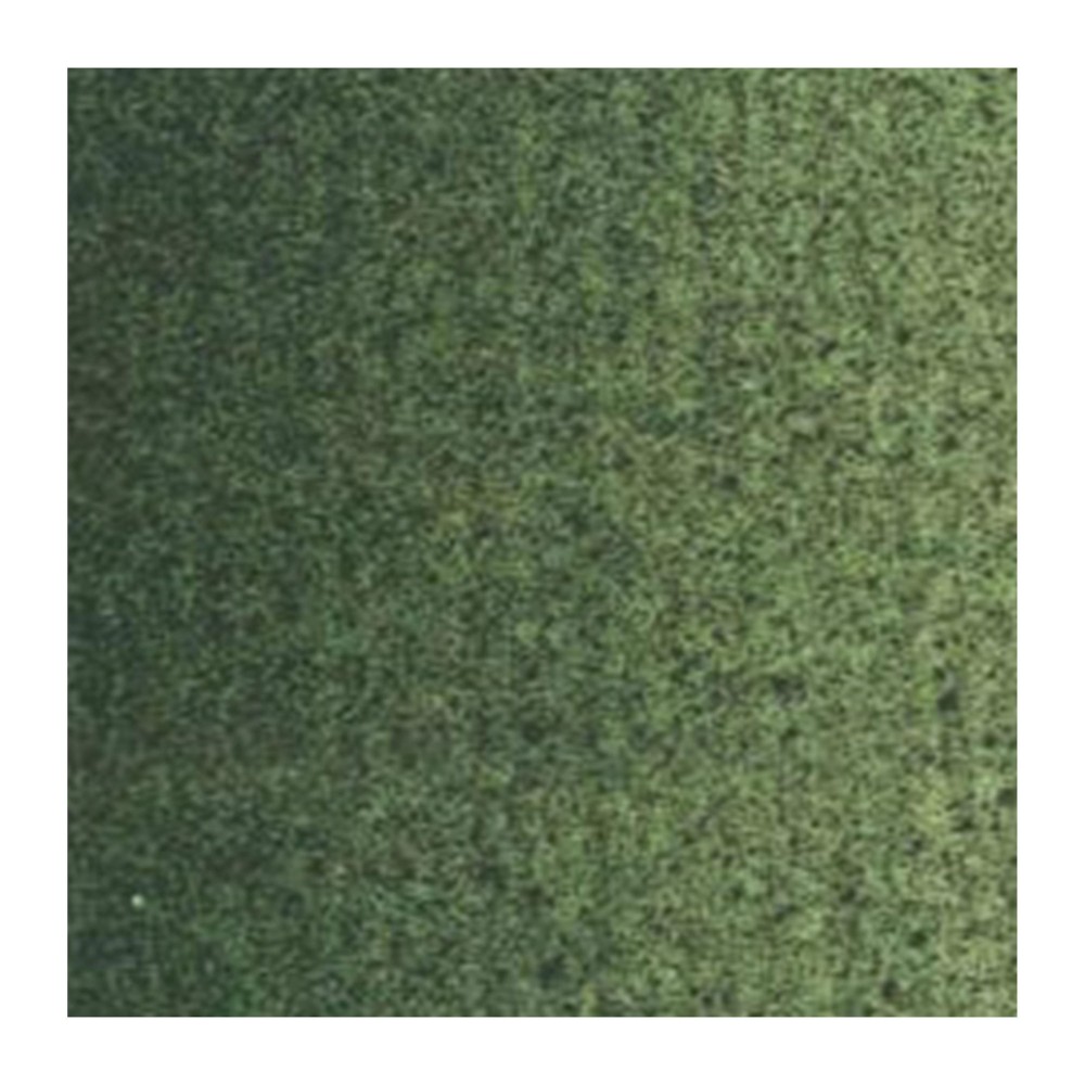 Farba olejna - Van Gogh - Green Earth, 40 ml