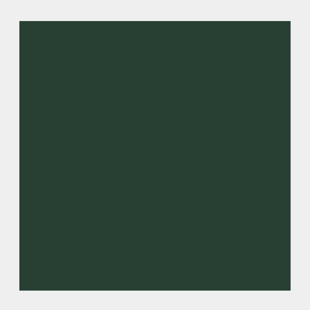 Gouache Extra Fine paint in a bottle - Talens - Fir Green, 50 ml