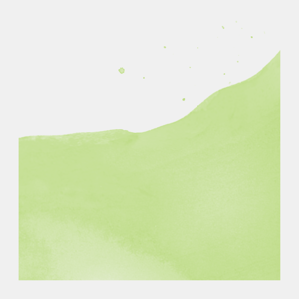 Liquid watercolor Ecoline in bottle - Talens - Pastel Green, 30 ml