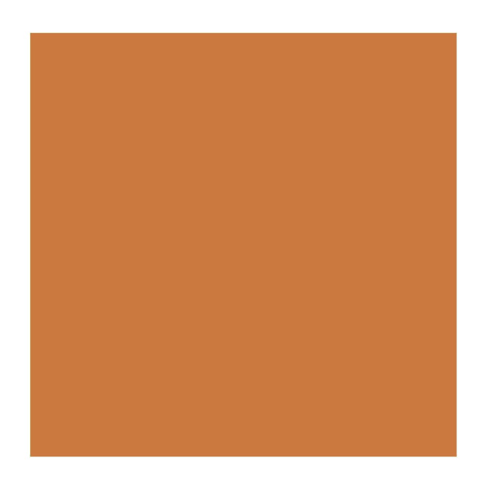 Acrylic paint in tube - Rembrandt - Raw Sienna, 40 ml