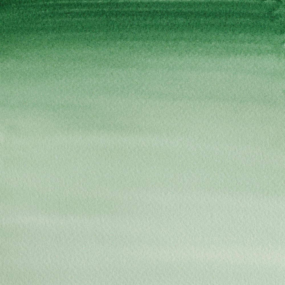Farba akwarelowa Cotman - Winsor & Newton - Hooker's Green Dark, półkostka
