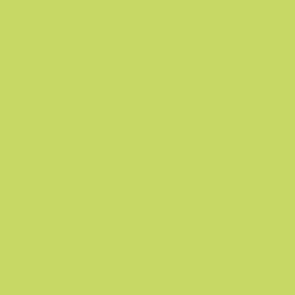 Textile Opaque paint - Talens Art Creation - Fresh Green, 50 ml