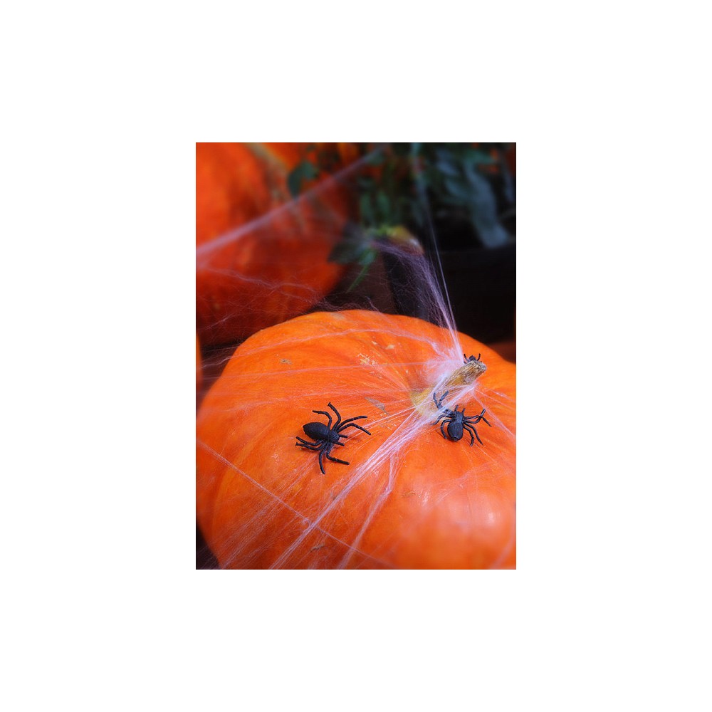Pająki dekoracyjne, plastikowe - czarne, 3 x 3 cm, 10 szt.