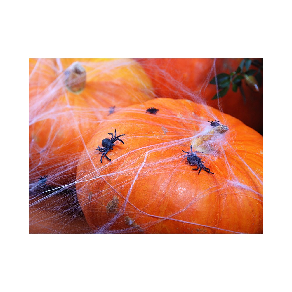 Pająki dekoracyjne, plastikowe - czarne, 3 x 3 cm, 10 szt.