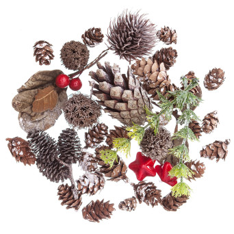 Natural elements - DpCraft - 50 g