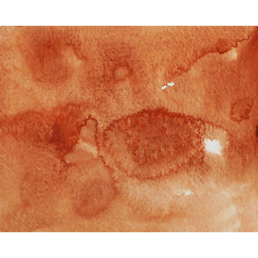 Watercolor paint pan Gansai Tambi - Kuretake - Burnt Sienna
