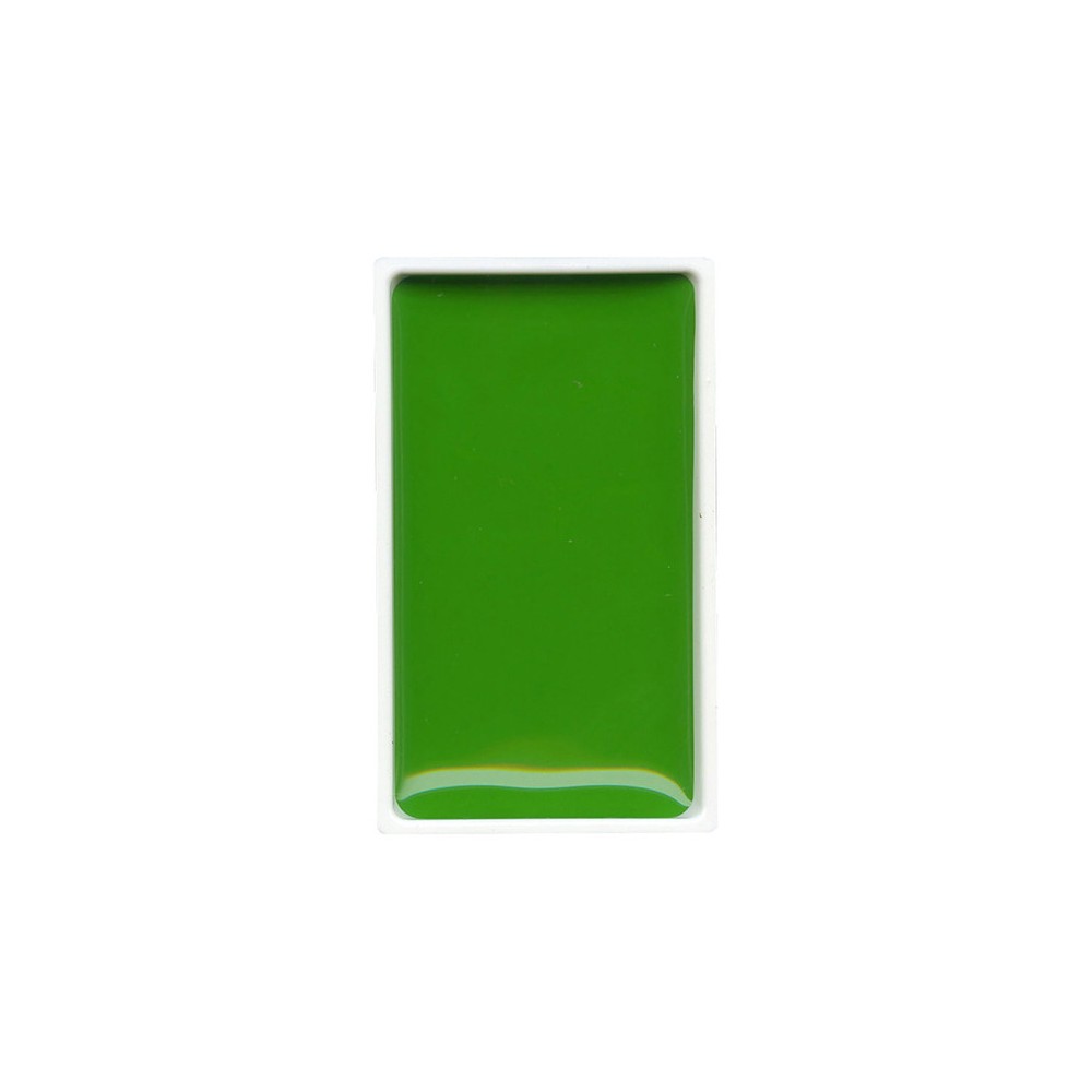 Watercolor paint pan Gansai Tambi - Kuretake - Sap Green Light