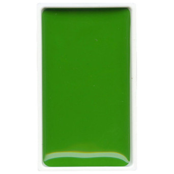 Watercolor paint pan Gansai Tambi - Kuretake - Sap Green Light