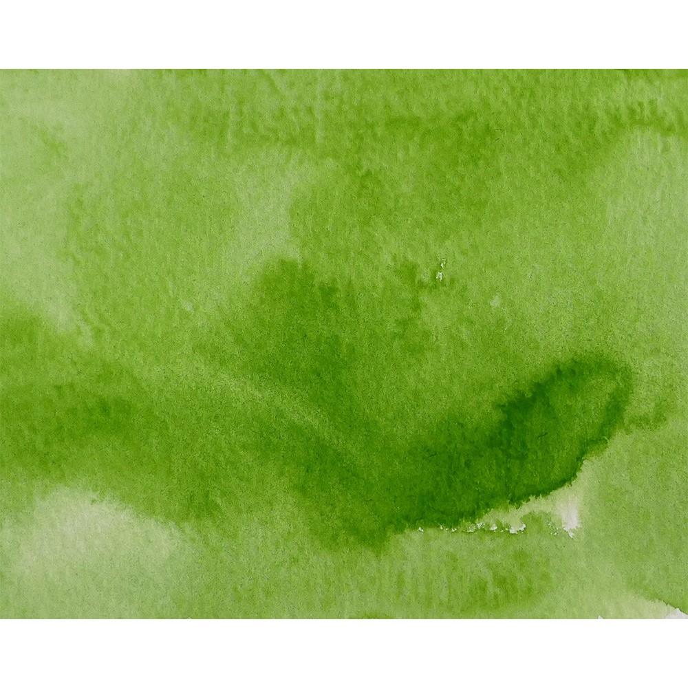Watercolor paint pan Gansai Tambi - Kuretake - Sap Green Light