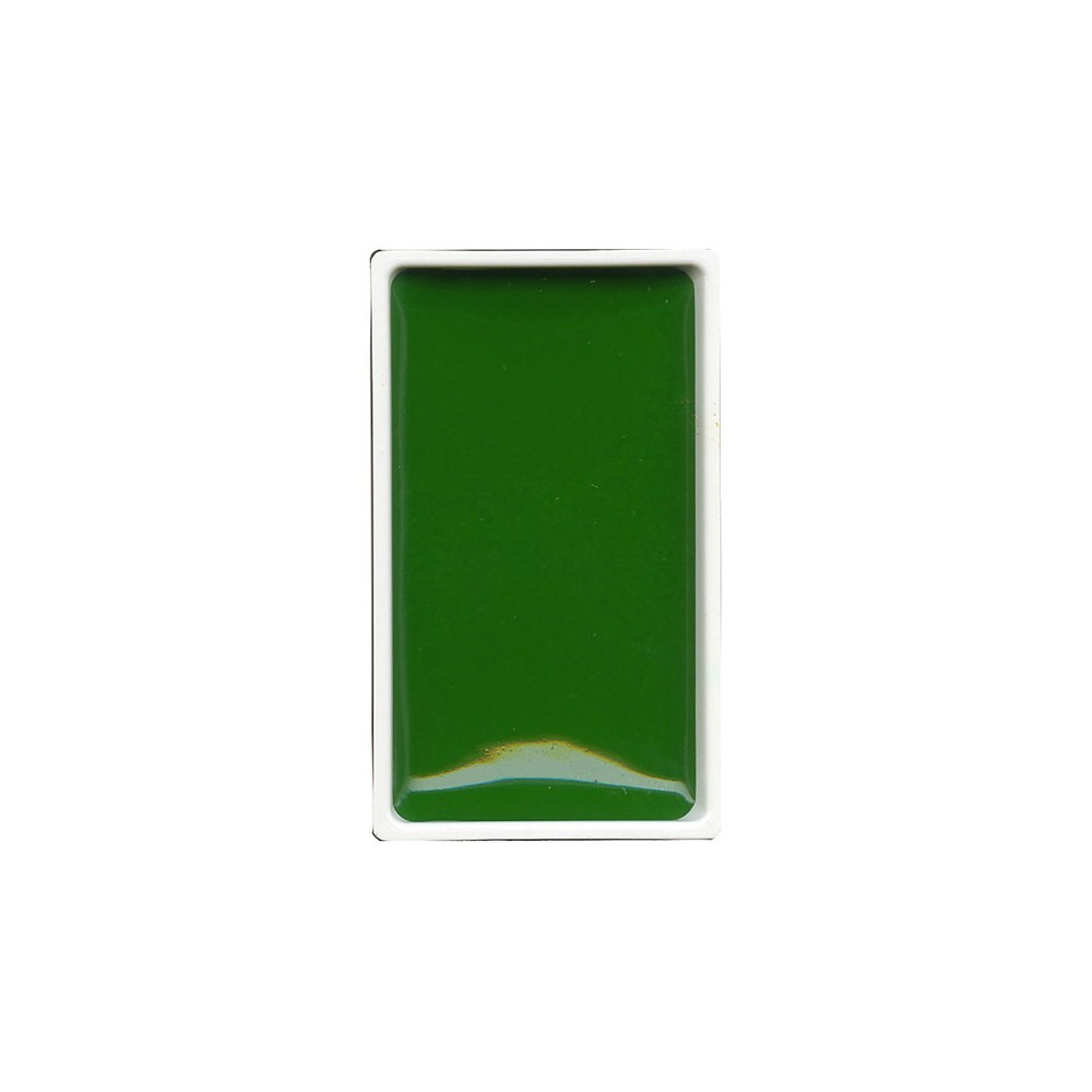 Watercolor paint pan Gansai Tambi - Kuretake - Hooker's Green