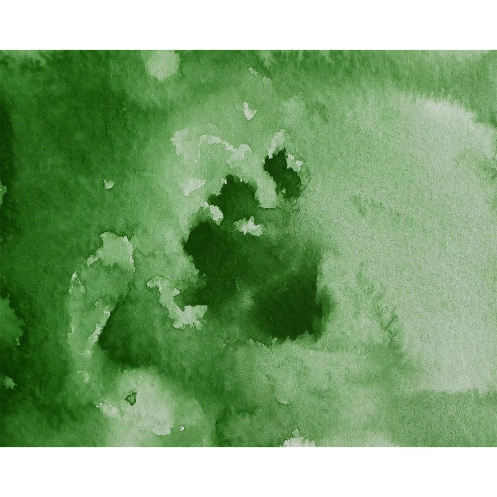 Watercolor paint pan Gansai Tambi - Kuretake - Hooker's Green