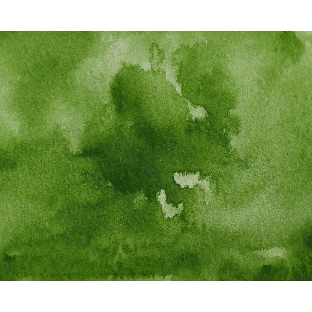 Watercolor paint pan Gansai Tambi - Kuretake - Sap Green
