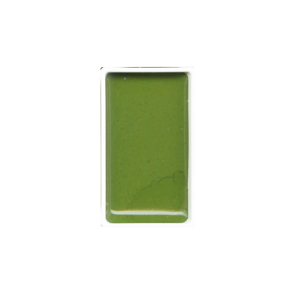 Watercolor paint pan Gansai Tambi - Kuretake - Sap Green
