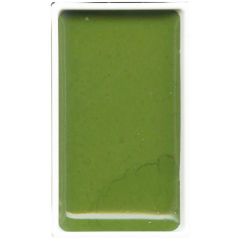 Watercolor paint pan Gansai Tambi - Kuretake - Sap Green