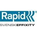 Rapid
